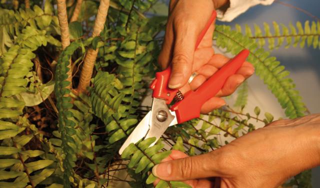 Kombinationssax rak D47